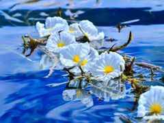 -丽江泸沽湖景区