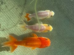 -合家亲妈妈菜·博山菜老字号(联通路店)