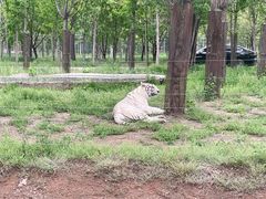 -秦皇岛野生动物园