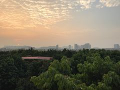 -荔城生鲜盛宴(番禺旗舰店)