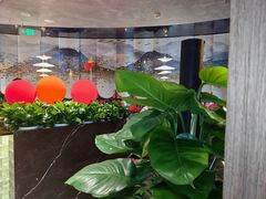 -百草滩羊清水涮羊肉·清真·宁夏盐池滩羊(莲花桥店)