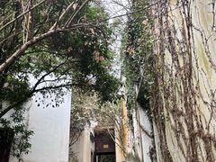 -梦姑塘文化公园