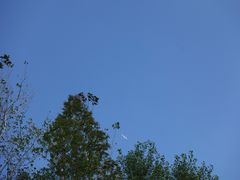 -昆山城市生态森林公园