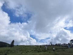 -芦芽山旅游度假区