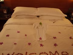 -三亚湾海居铂尔曼度假酒店