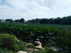 -长春市南湖公园