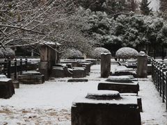 -明故宫遗址公园