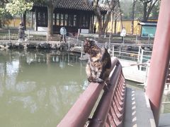 -西园戒幢律寺