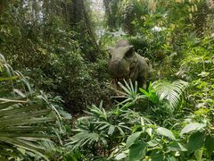 -海南热带野生动植物园