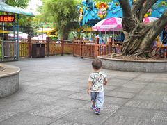 -晓港公园