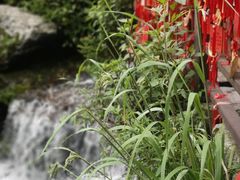-苍山感通索道