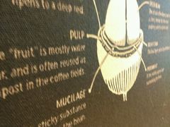 -星巴克(无锡东方商厦店)