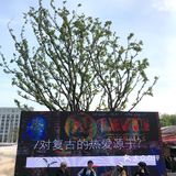 天気がいいから散歩しましょ！[加油]