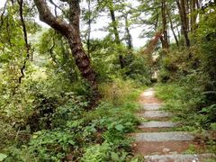 -南岳衡山风景名胜区