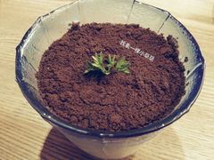 -蜜桃餐厅·江浙融合菜(荟聚购物中心店)