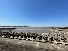 -上海滨江森林公园