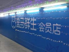 -盒马X会员店(王府井奥莱UP TOWN店)
