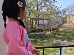 -大连森林动物园