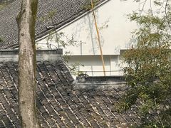 -龙井壹号·茶缘山景宴(龙井村店)