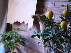 -春庄咖啡SpringHues(钟楼小区店)