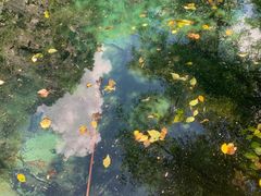 -叠溪松坪沟景区