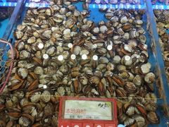 -必点海鲜·鲅鱼水饺(鞍山西道店)