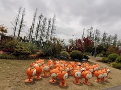 -上海长兴岛郊野公园