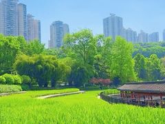 -龙头寺公园