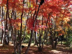 -轻井泽高原教堂