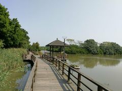 -大湾区中央湿地公园