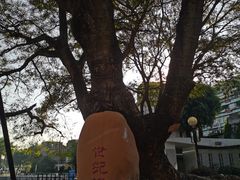 -石炮台公园