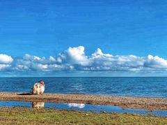 -青海湖国家重点风景名胜区
