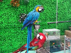 -陕西自然博物馆