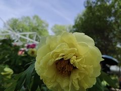 -洛阳市隋唐城遗址植物园