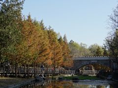 -白水寺森林公园