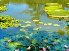 -国家植物园南园