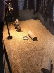 -酷嗒动物文化乐园(cutezoo西溪乐天城店)