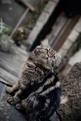 -汉刺青TATTOO STUDIO