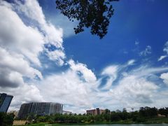 -宝安西湾红树林湿地公园