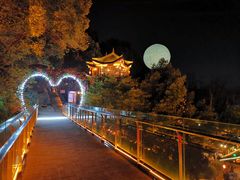 -巴倒烫陆派重庆火锅(南山店)