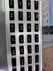 -Wisezone唯点穿耳打耳洞专业国际连锁品牌