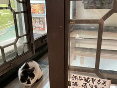 -猫的天空之城概念书店(杭州南宋御街店)