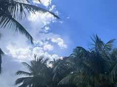 -三亚海棠湾喜来登度假酒店大堂吧