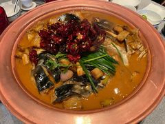 -柿合缘新京菜(国金中心商场店)