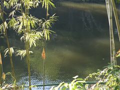 -深圳龙潭公园