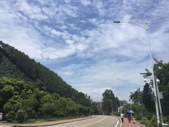 -南沙蒲洲花园