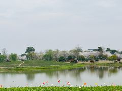 -径山花海