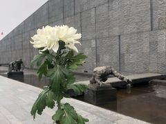 -侵华日军南京大屠杀遇难同胞纪念馆
