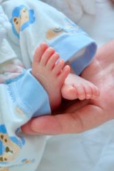 -禧月荟S月子中心(侨城店)