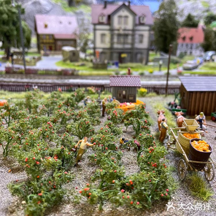 处处都有惊喜！